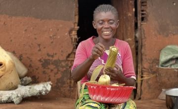 Feza Fatuma Amisi, a beneficiary of the MAC project, shucks corn she has grown