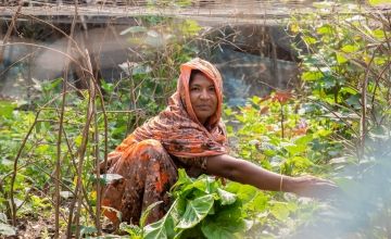 Asma Begum in her garden that she tends to using climate-smart agriculture techniques learnt on Concern's CRAAIN project. Photo: Gavin Douglas