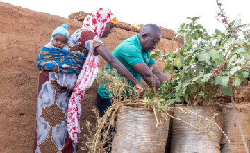 Ramatou tends to the family's garden with support from Concern's Community Development Advisor, Basso Issoufou. Ramatou is growing tomatoes, aubergines and beans. Photo: Darren Vaughan/Concern Worldwide