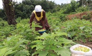 Theresa Sackie, a participant in the ANSARM programme in Liberia Photo: Concern Worldwide