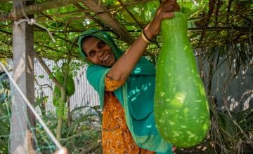 Malika Begum has learned to grown vegetables, even when there is flooding. She grows them on raised platforms. Photo: Gavin Douglas/ Concern Worldwide