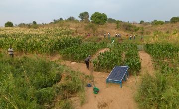 This scheme is using climate smart agricultural practices to mitigate the effects of climate change in the region, Mwanza District. Photo: Chris Gagnon/Concern Worldwide