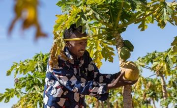Man farming in Somalia