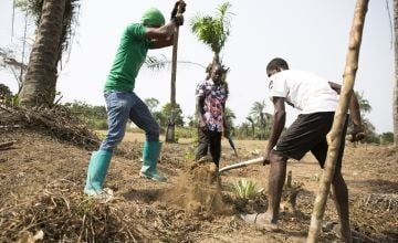 Preparing the ground for planting tree saplings at an agroforestry project in Grand Bassa, Liberia being supported by Concern under the Irish Aid funded LIFE programme. Photo: Kieran McConville/Concern Worldwide