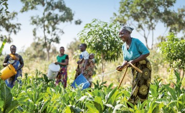 Global Hunger Index 2024 cover