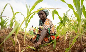 Mwanaesha Haluwa Haji tends to a plot of maize in Makere village in Kenya’s Tana River County. Photo: Lisa Murray/Kerry Group/Concern Worldwide