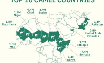 Top 10 camel countries