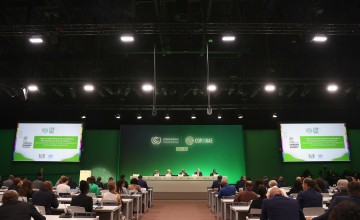 Delegates gather at COP28. (Photo: Kira Worth/UN Climate Change/Creative Commons)