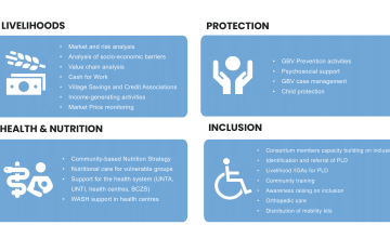 EAST Consortium sectors
