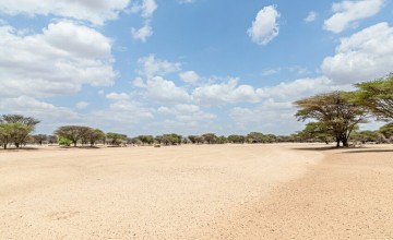 A dry river basin in Kangalita, Turkana, Kenya. The region has been severely affected by drought. Photo: Natalia Jidovanu/Concern Worldwide