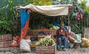 KOICA programme participant Birke with her fruit and vegetable business in Addis Ababa. Photo: Eugene Ikua/Concern Worldwide.