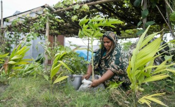 With support from local CRAGs and local Government flood affected homes recieve seeds for gardening in Bangladesh. Photo: Saikat Mojumde/Concern Worldwide.