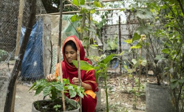 Person wearing a bright red and orange traditional outfit tending to plants in a small outdoor garden. The garden is enclosed with netting and contains several potted plants and green foliage