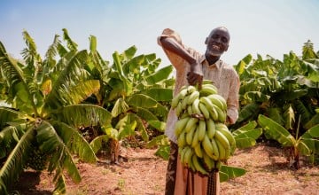 A man holding up a large bunch of bananas