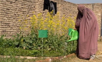 A female from Charsadda was trained on homestead gardening, she was provided with tools and seed pack and then she planted vegetables in her garden. Photo: Concern Worldwide.