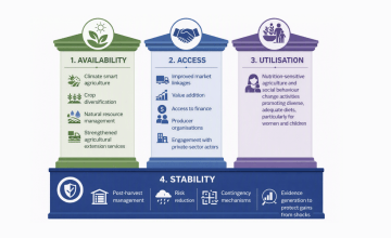 The four pillars of food security.