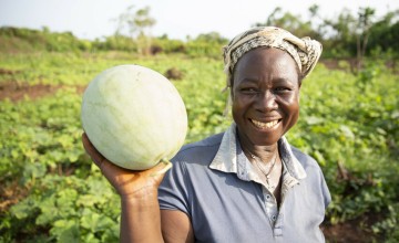 Nowah Kwaneh at her farm near Buchanan, Liberia, which she has expanded with support from Concern and her local CSLA. Here she grows watermelon, okra, bitter ball, cucumber, peppers, eggplant, tomatoes, and pumpkin. Photo: Kieran McConville/Concern Worldwide.