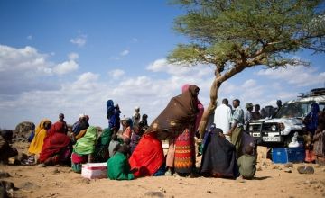 Children and their mothers congregate around a tree used as a focal point for an outreach programme. Photo: Concern Worldwide.