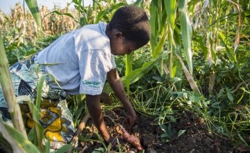 Fatima Guwira was helped by Concern after losing all of her crops to the floods that devastated Nsanje District, Malawi, in January 2015. Credit: Concern Worldwide