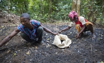 Assa Kamara and Marie Sasay collecting charcoal.