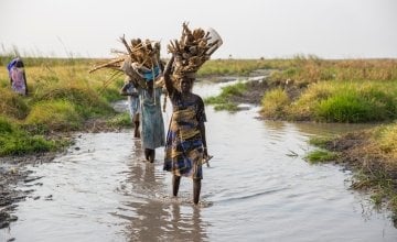 Women carry firewood through the swamps of Leer County in Unity State, South Sudan. Photo: Kieran McConville / Concern Worldwide.