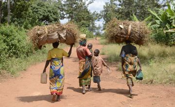 A group of mothers and their children in Mutembo carrying a load of recently harvested beans. The area suffers from alarmingly high rates of acute malnutrition among children. Photo: Chris de Bode