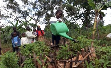 Victoria Macumi's son is watering their kitchen garden in Burundi