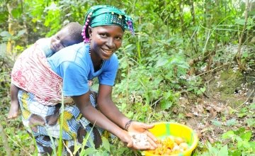 Kadiatu Bangura (35) with son Sheku Conteh (1) picking orange wild fruits in the local forest. She is a participant of the LANN programme run by Concern Worldwide and Welthungerhilfe in Sierra Leone. Photo: Jennifer Nolan / Concern Worldwide.