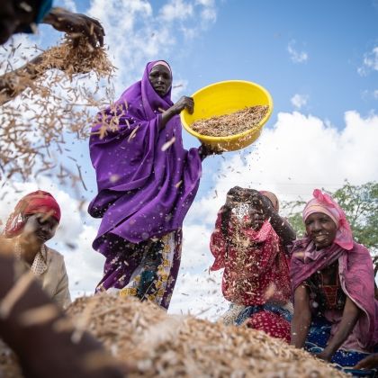 Hadija Hassan (purple) and other farmers winnow mung beans in Makere village in Tana River County. Photo: Lisa Murray/Concern Worldwide