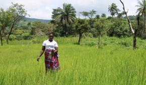 Nikikoroh Village, Tonkolili District. Photo: Charlotte Woellwarth/Concern Worldwide