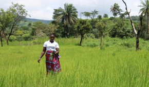Nikikoroh Village, Tonkolili District. Photo: Charlotte Woellwarth/Concern Worldwide