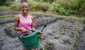 Assanatu at her farm plot on a rehabilitated swamp near her home in Magborkorr, Sierra Leone. Assanatu is also Secretary of the local VSLA. Photo: Kieran McConville/Concern Worldwide.