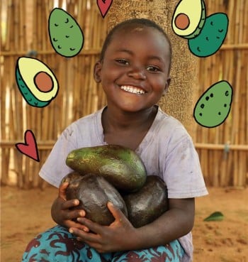 A young smiling boy wearing blue shorts and a purple t-shirt holds a handful of avocados. He is sitting on sand in front of a fence made of natural materials.
