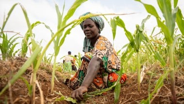 Mwanaesha Haluwa Haji tends to a plot of maize in Makere village in Kenya’s Tana River County. Photo: Lisa Murray/Kerry Group/Concern Worldwide