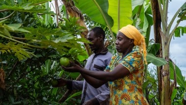 A couple in Rwanda pick fruit in their garden
