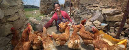 Lemlem Tesega sets the pecking order for her chickens in Ethiopia. Photo: Nick Spollin