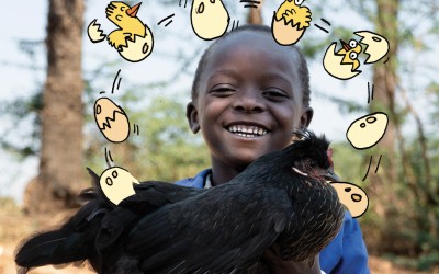 Chicken