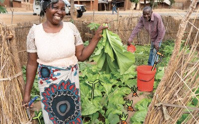 Home garden