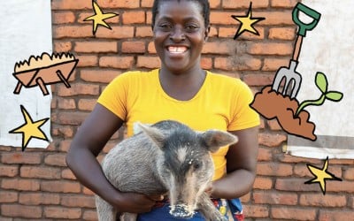 Pig