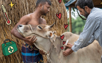 Animal Vaccine Gift