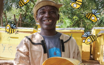 Beekeeping kit 