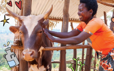 Cow