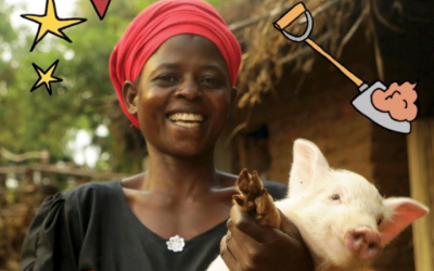Pig