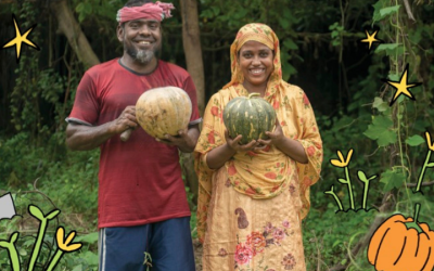 Eight pumpkin patches