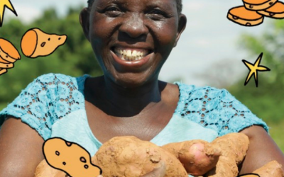 Sweet potatoes