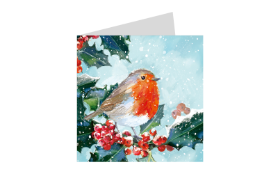 Robin & Holly  