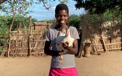 Six chickens