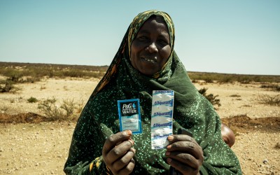 Water purification sachets