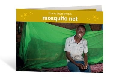 Mosquito Net