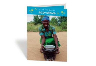 Eco-stove